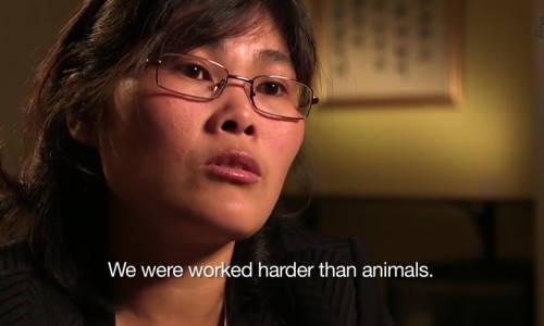 苹婆的十大功效-苹婆的功效和图片-苹婆的功效与食用方法,中国苹婆的功效网站