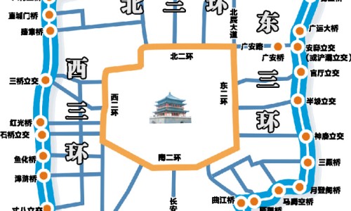 苹婆的十大功效-苹婆的功效和图片-苹婆的功效与食用方法,中国苹婆的功效网站